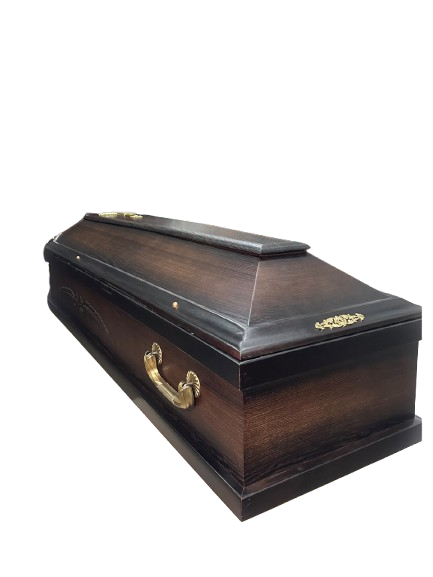 1730051407664173-removebg-preview