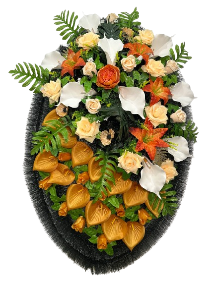 1730051630137320-removebg-preview