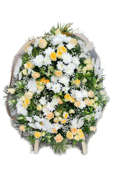 removal_ai_00a70d32-2ec1-4751-8567-ea1f0c8da570-img_8339417