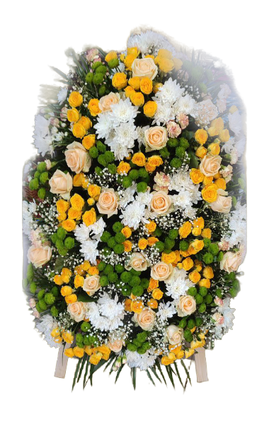 removal_ai_0e5c1247-7bc0-4dbe-be9e-68c613c2cb9e-img_833925447